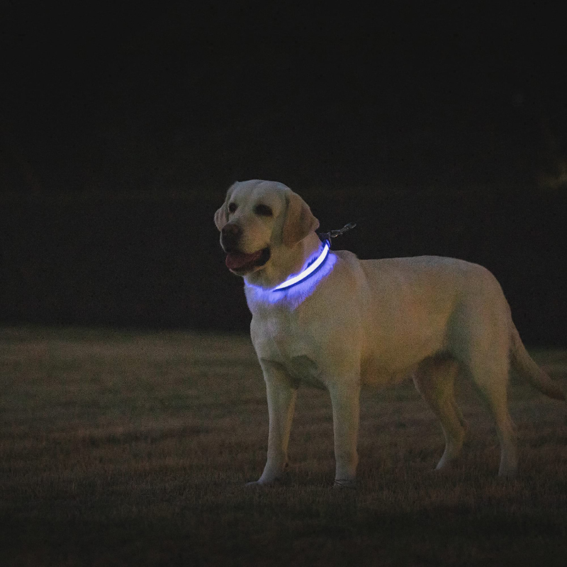 Benepaw LED-halsband USB oplaa - Led Dog Collar Glowing Rechargeable Usb recensie en prijs