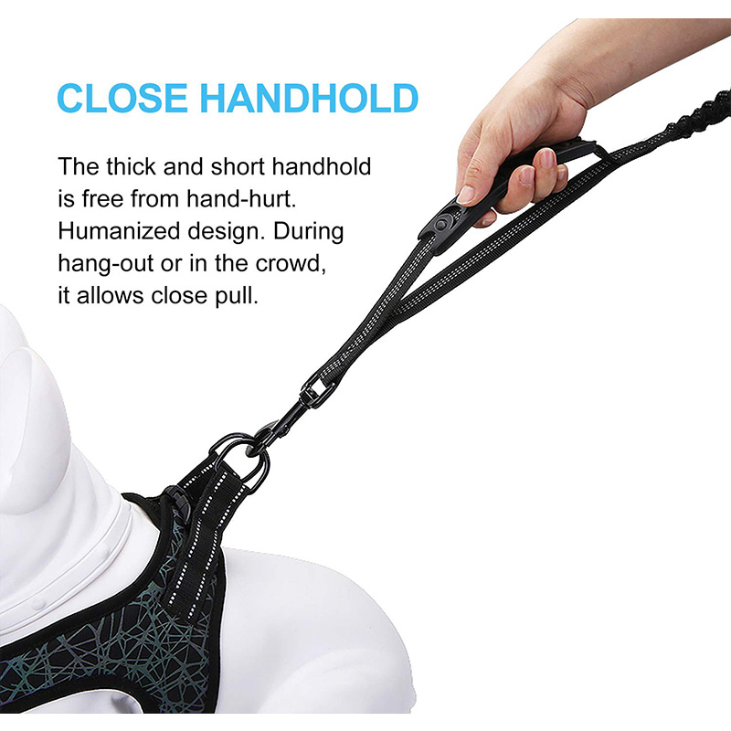 Zeer reflecterende, robuuste e - Bungee Dog Leash Shock Absorbing recensie en prijs