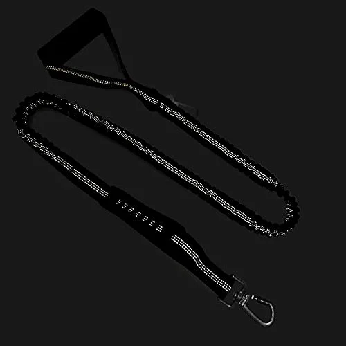 Zeer reflecterende, robuuste e - Bungee Dog Leash Shock Absorbing recensie en prijs
