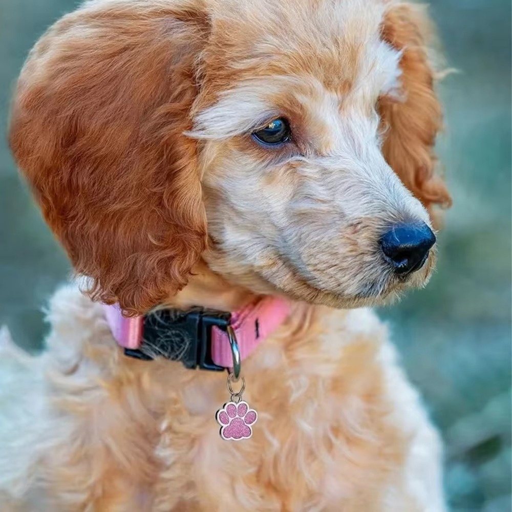 Gepersonaliseerde huisdier-ID- - Reflective Dog Collar Personalized Engraved recensie en prijs