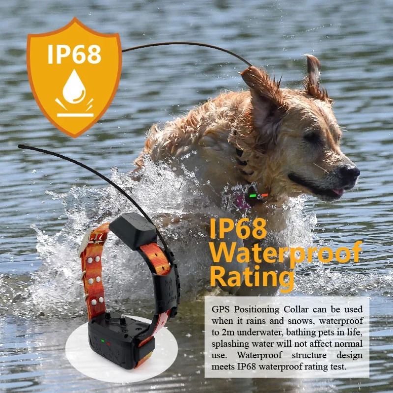 GPS-hondenhalsband met radio-t - Hunting Dog Tracking Collar Gps Radio recensie en prijs
