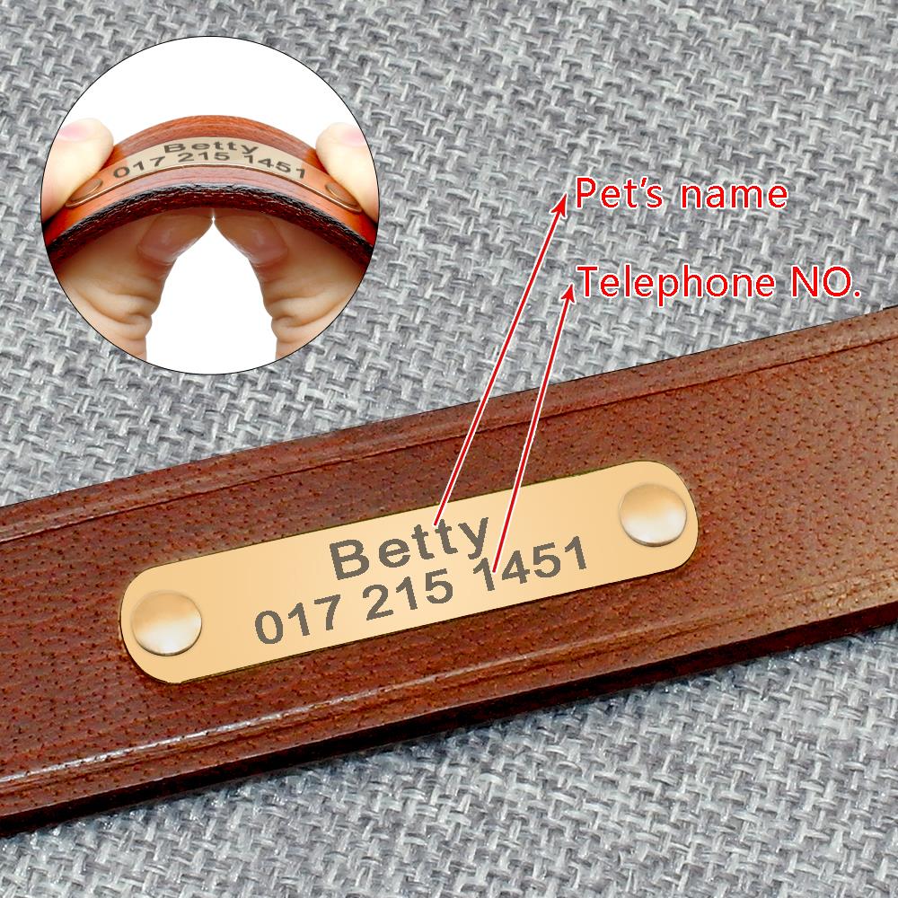 Echt Lederen Kleine Middelgrot - Reflective Dog Collar Personalized Engraved recensie en prijs