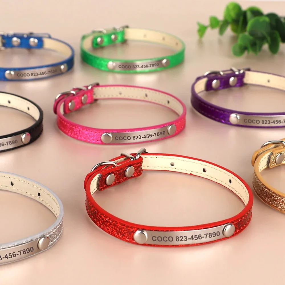 Aangepaste kattenhalsband Blin - Reflective Dog Collar Personalized Engraved recensie en prijs