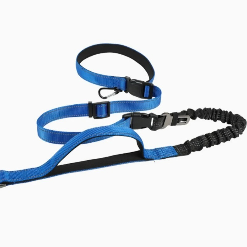 Schokabsorberende bungee hands - Bungee Dog Leash Shock Absorbing recensie en prijs