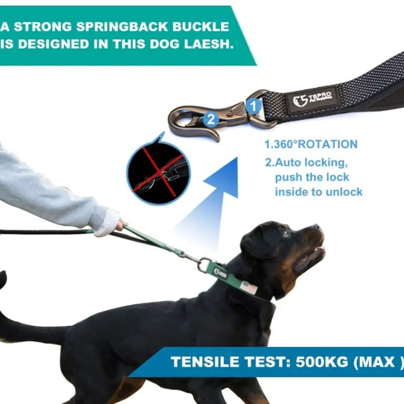 Schokabsorberende bungee hands - Bungee Dog Leash Shock Absorbing recensie en prijs