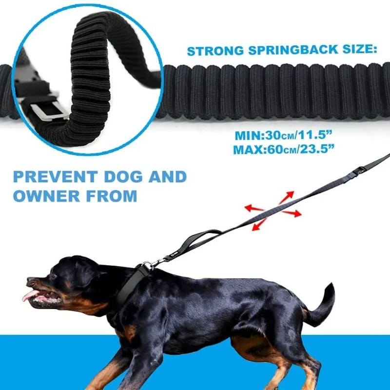 Schokabsorberende bungee hands - Bungee Dog Leash Shock Absorbing recensie en prijs