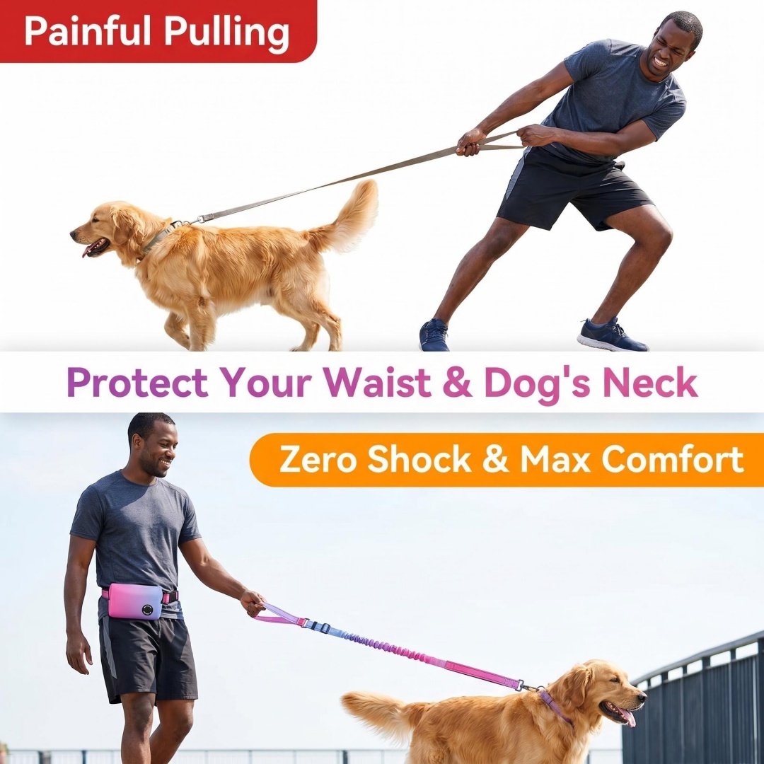 Gradientkleurige handsfree hon - Bungee Dog Leash Shock Absorbing recensie en prijs