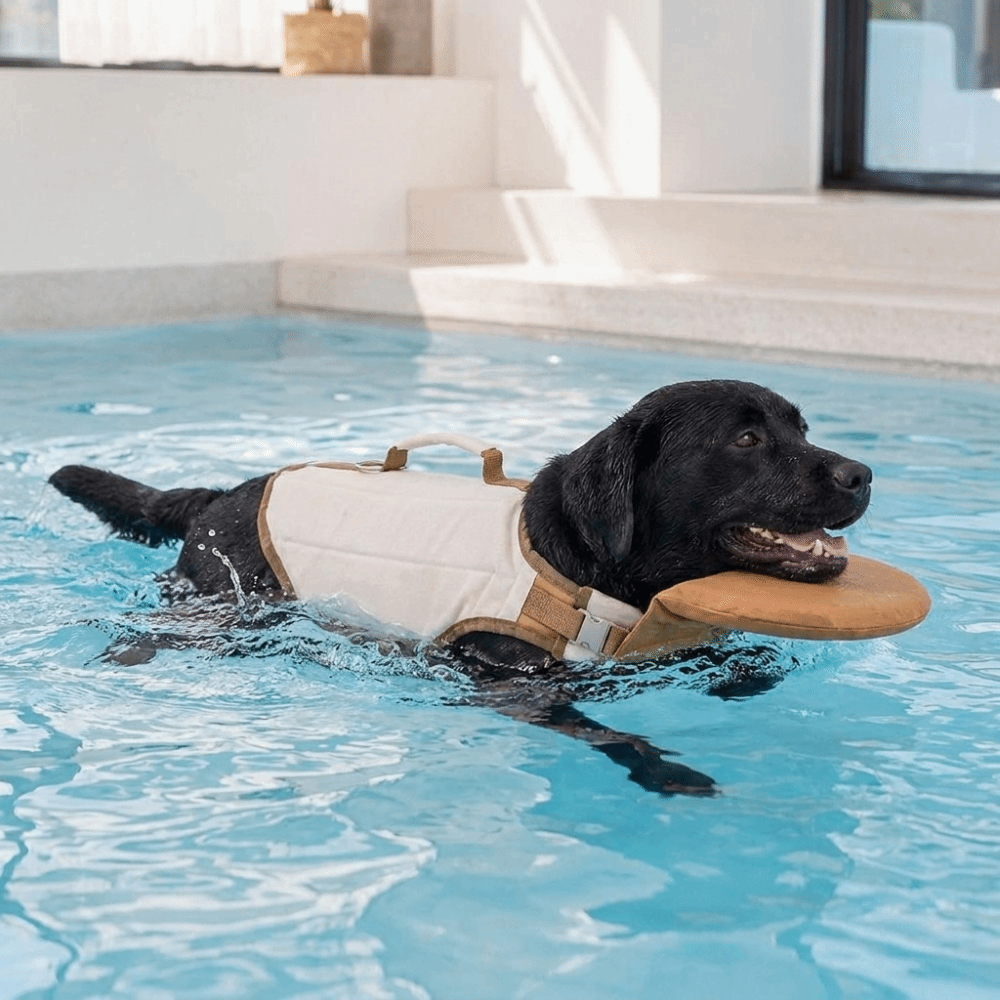 Verstelbaar hondenreddingsvest - Dog Life Jacket Vest Buoyancy Handle recensie en prijs