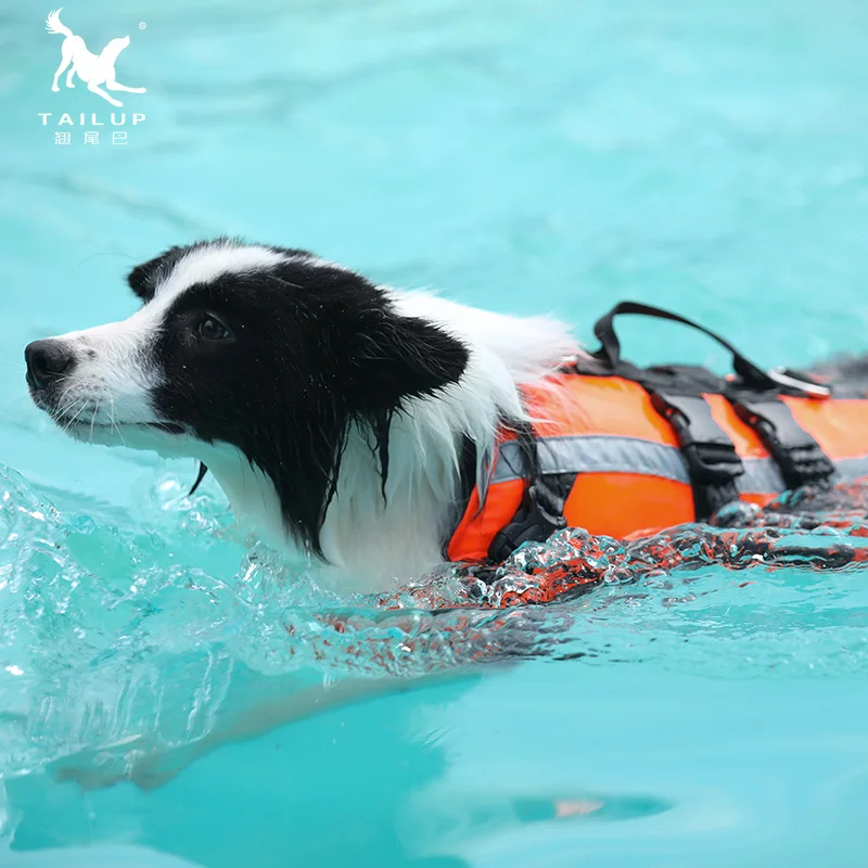 Honden Zwemvest Ripstop Veilig - Dog Life Jacket Vest Buoyancy Handle recensie en prijs