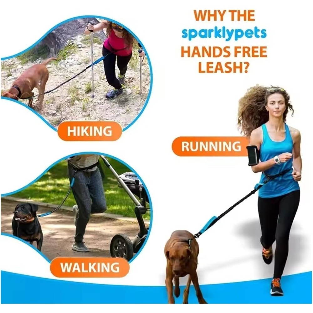 Handsfree hondenriem, reflecte - Bungee Dog Leash Shock Absorbing recensie en prijs