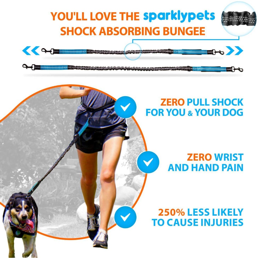 Handsfree hondenriem, reflecte - Bungee Dog Leash Shock Absorbing recensie en prijs