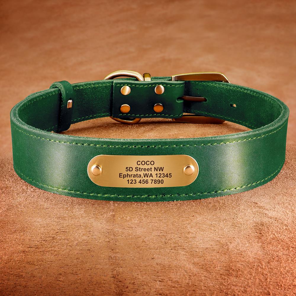 Aangepaste lederen halsband Pi - Reflective Dog Collar Personalized Engraved recensie en prijs