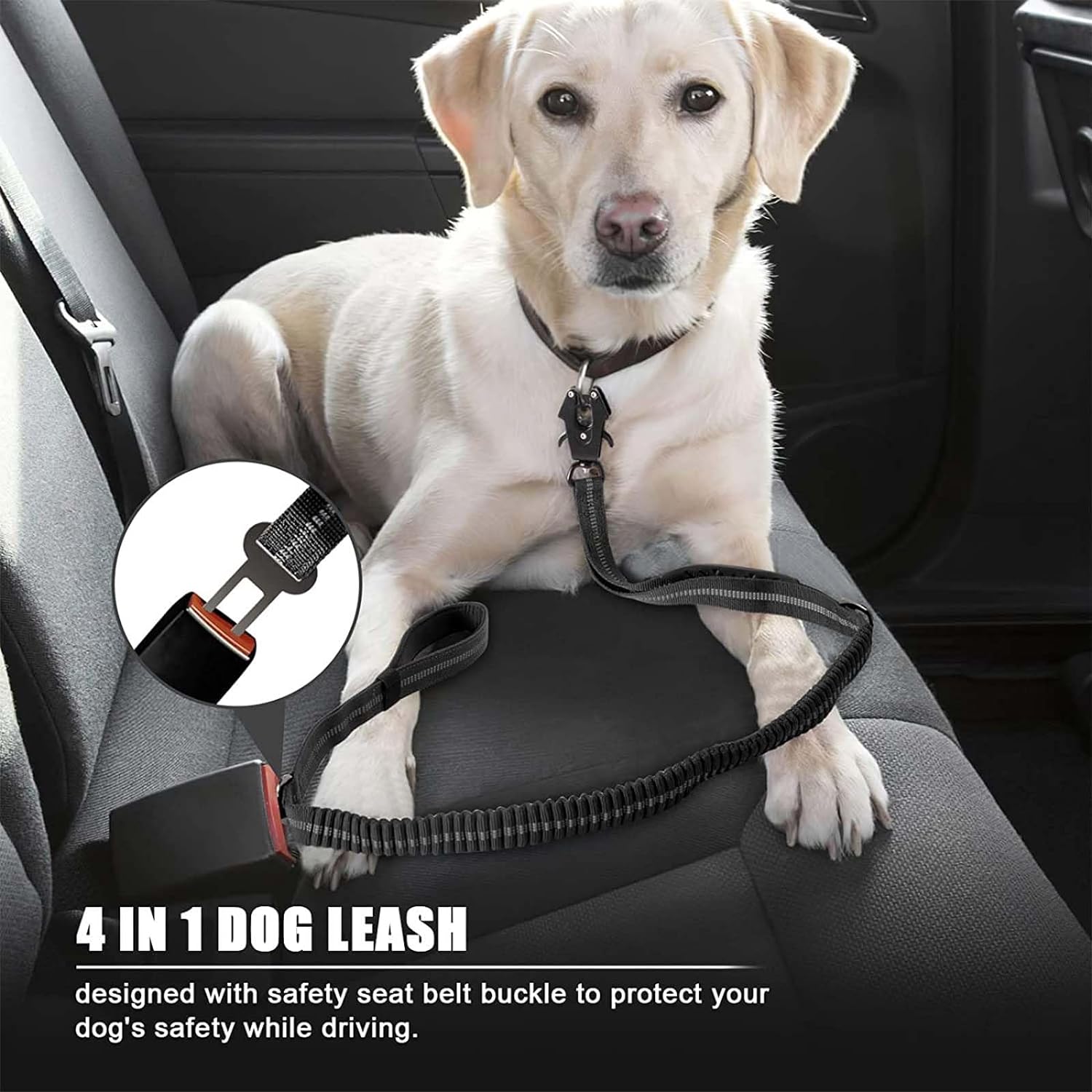 Reflecterende Schokabsorberend - Bungee Dog Leash Shock Absorbing recensie en prijs