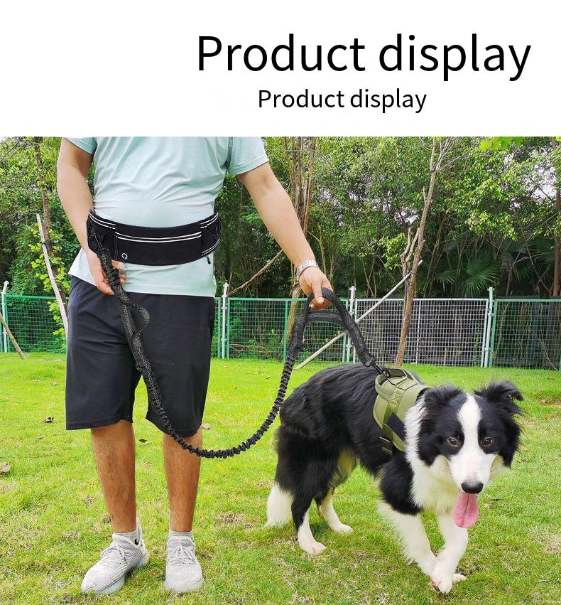Handsfree hondenriem voor hard - Hands Free Dog Running Leash Waist Belt recensie en prijs