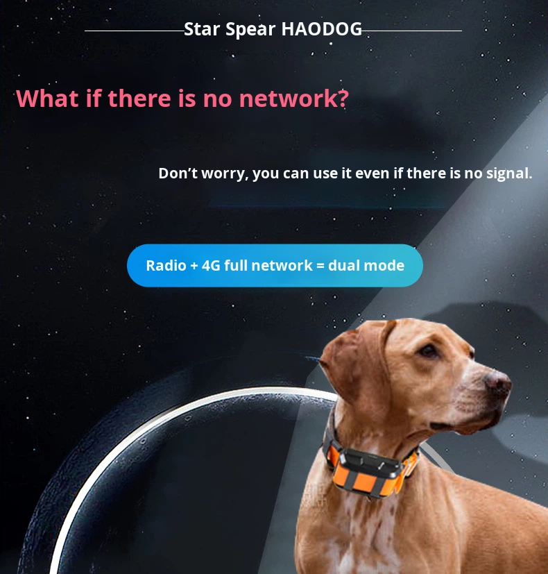GPS- en radiopositioneringshal - Hunting Dog Tracking Collar Gps Radio recensie en prijs