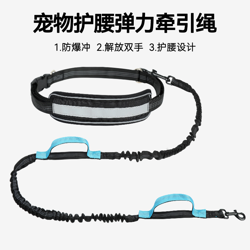 Handsfree hondenloopriem, elas - Bungee Dog Leash Shock Absorbing recensie en prijs