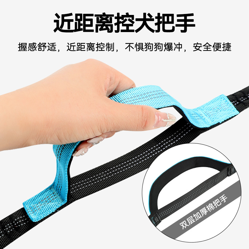 Handsfree hondenloopriem, elas - Bungee Dog Leash Shock Absorbing recensie en prijs