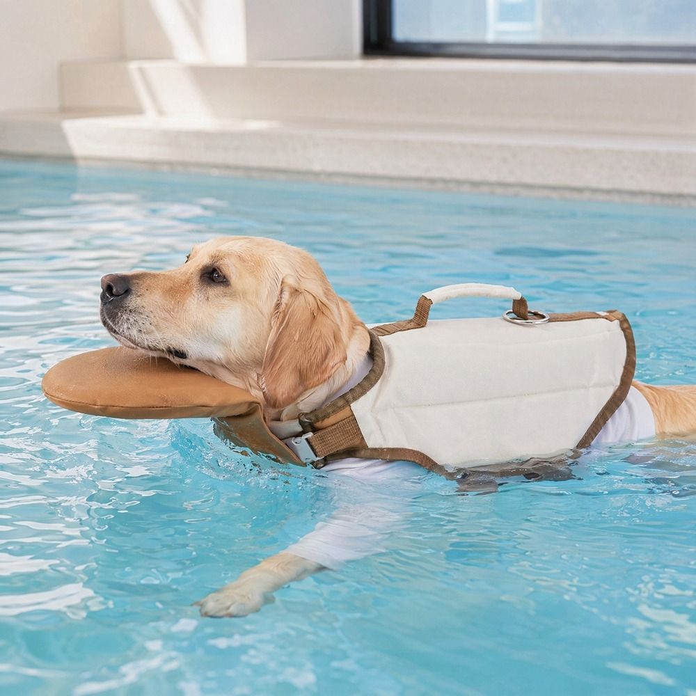 Verstelbaar reddingsvest voor  - Dog Life Jacket Vest Buoyancy Handle recensie en prijs
